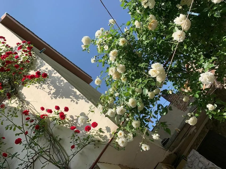 Guest House Lami